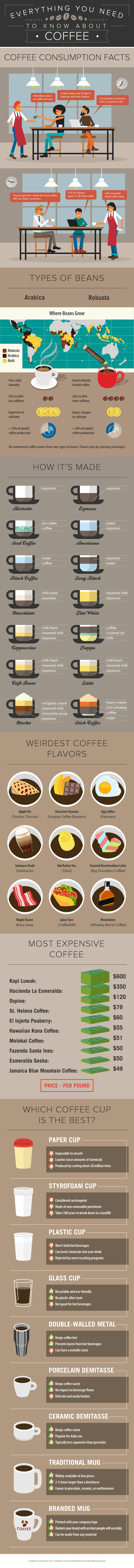 coffee cup infographic